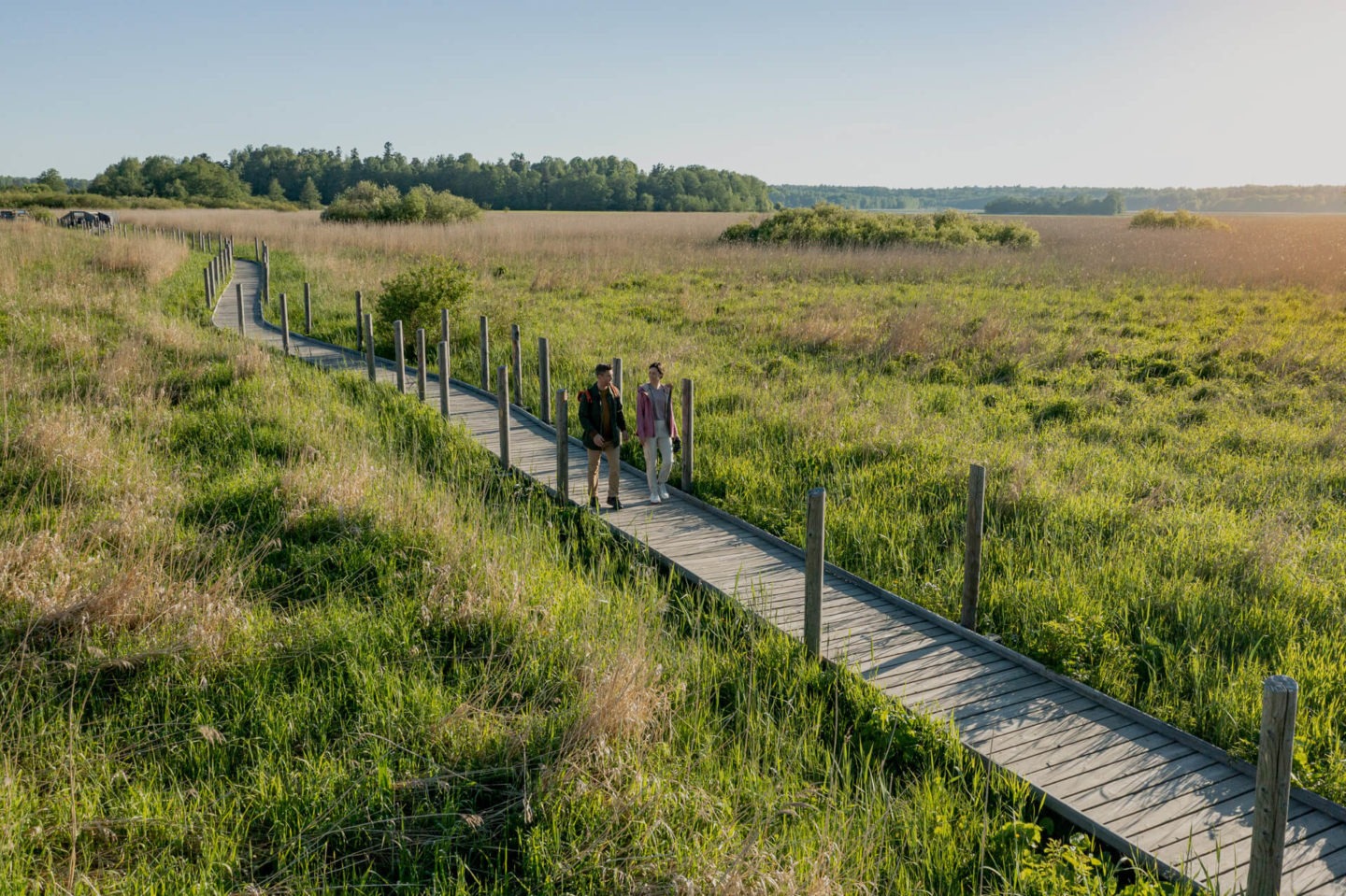 Kilpirauhasen vajaatoiminta