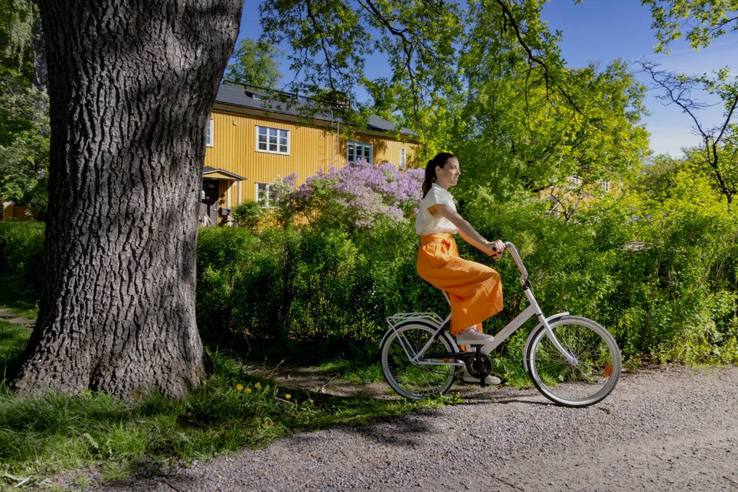 Verikokeeseen valmistautuminen