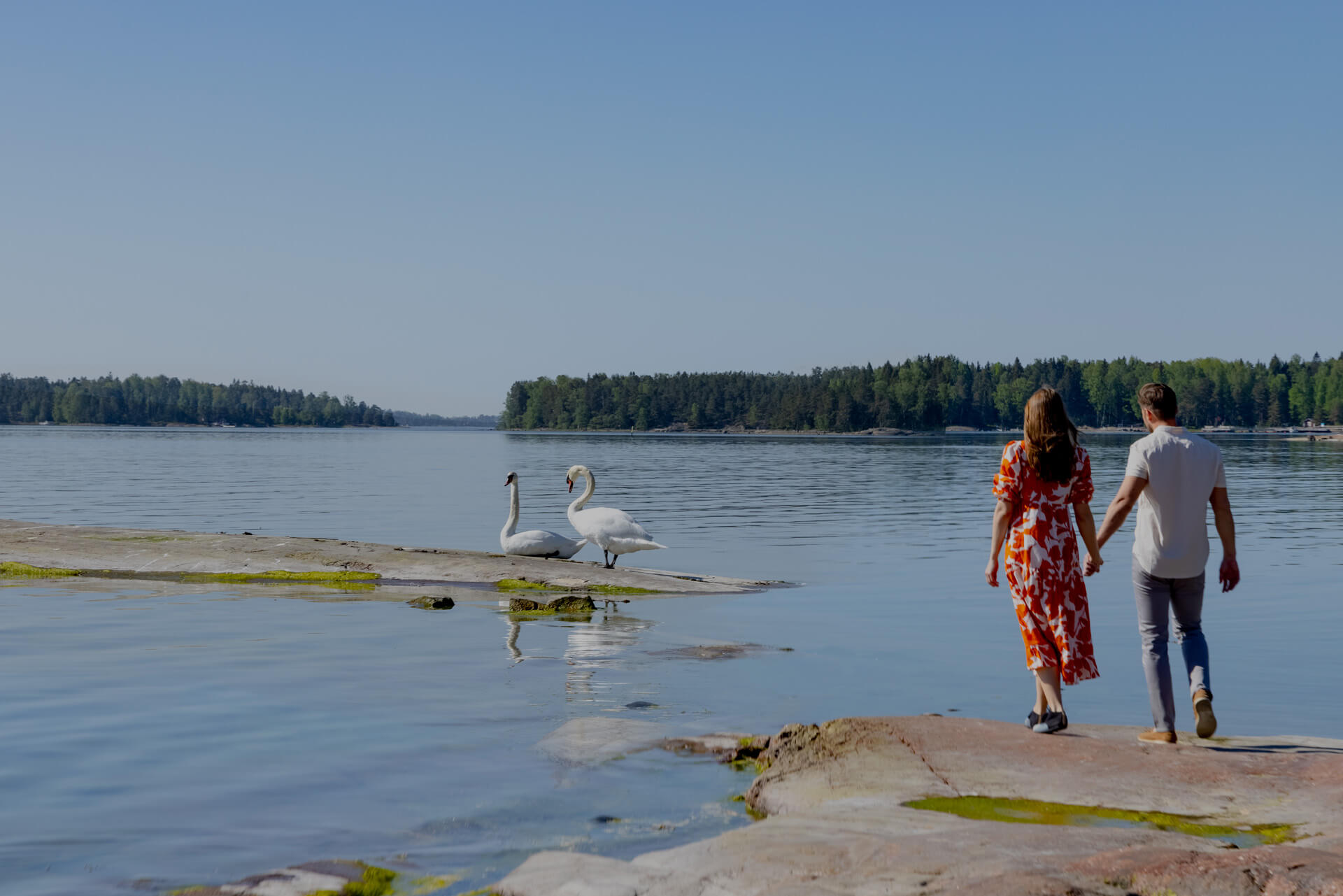 Raskautta suunnittelevan terveystarkastus