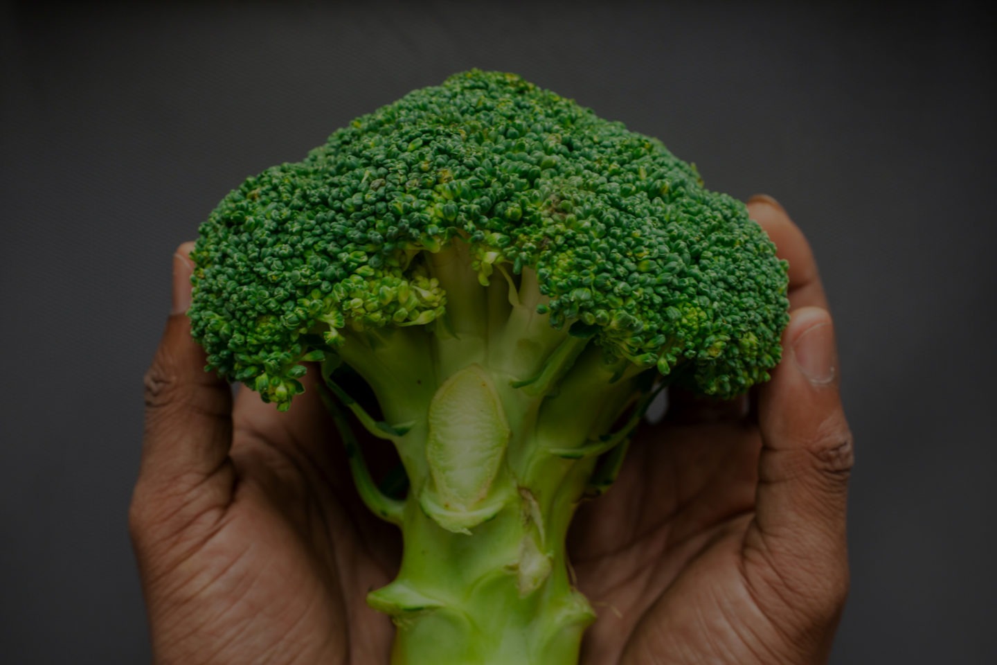 K-vitamiinia muodostuu suolistossa