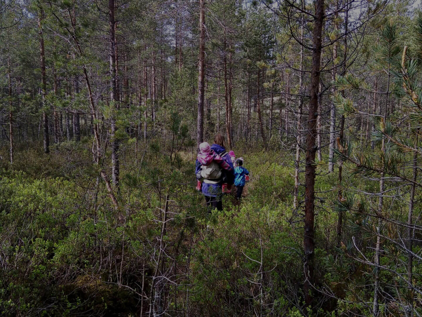 Äidin jaksaminen (anemia, raudanpuute ja matala D-vitamiini)