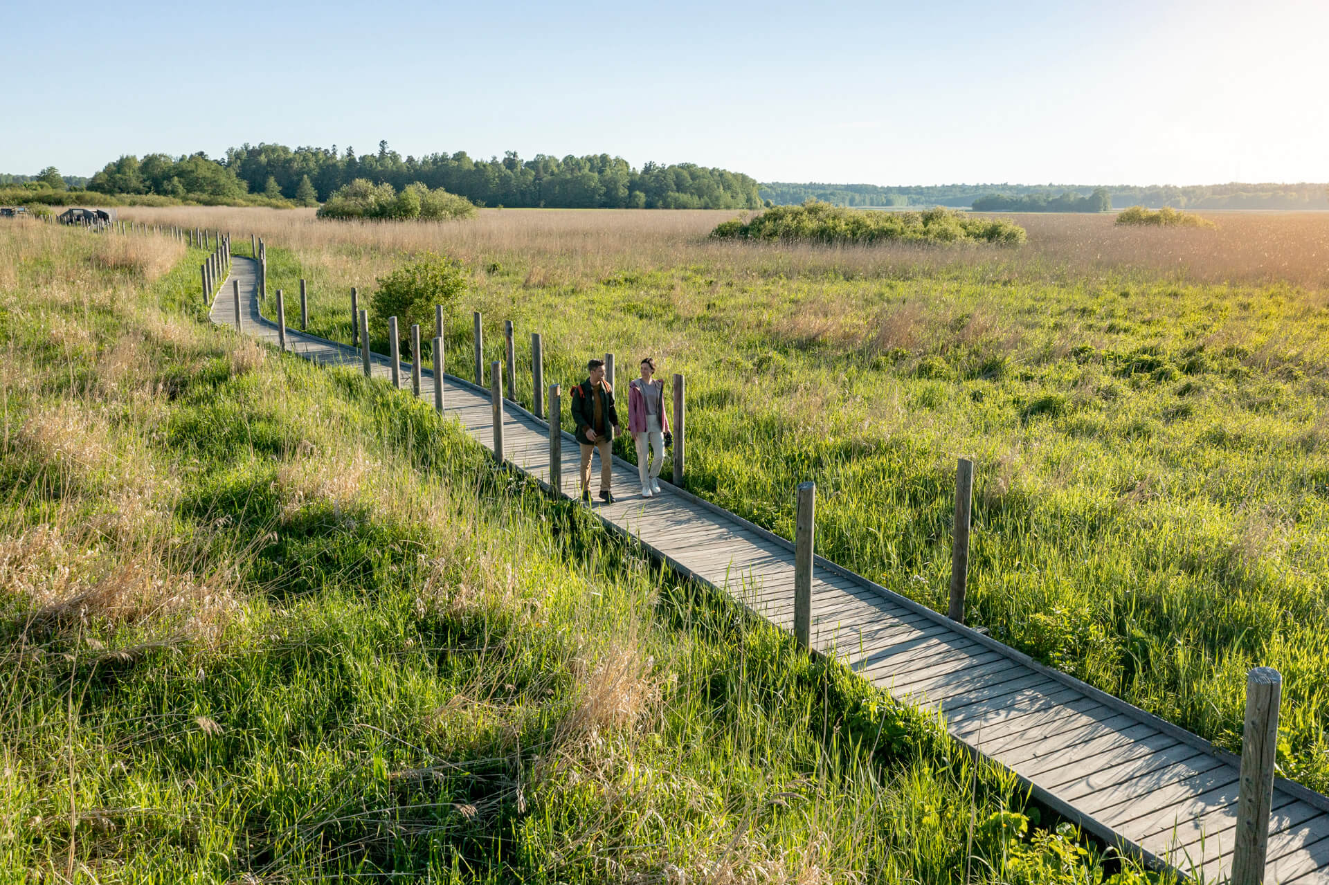 Farmakogeneettinen tutkimus