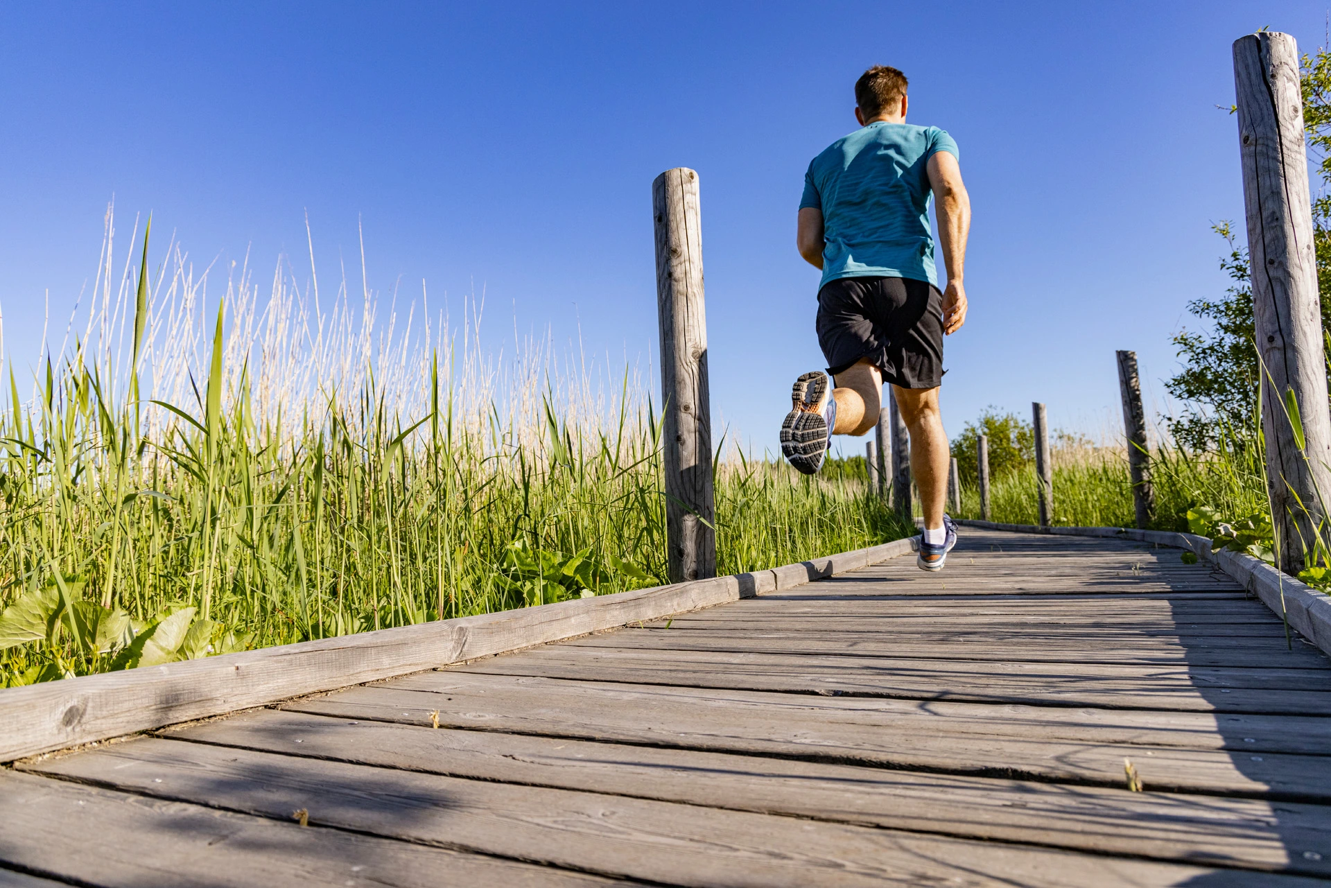 Sydämen rytmihäiriöt, eli poikkeamat sydämen rytmissä, ovat yleisiä.